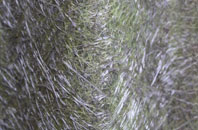 Deerstones fibreglass roof work